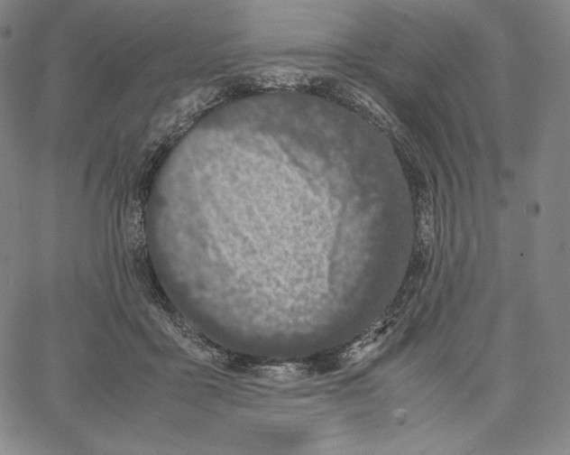 X0000062620411200601181659