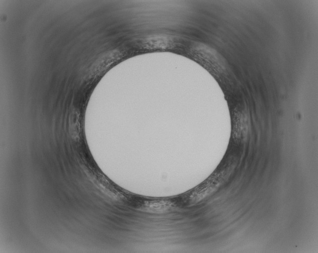 X0000062620414200601181659