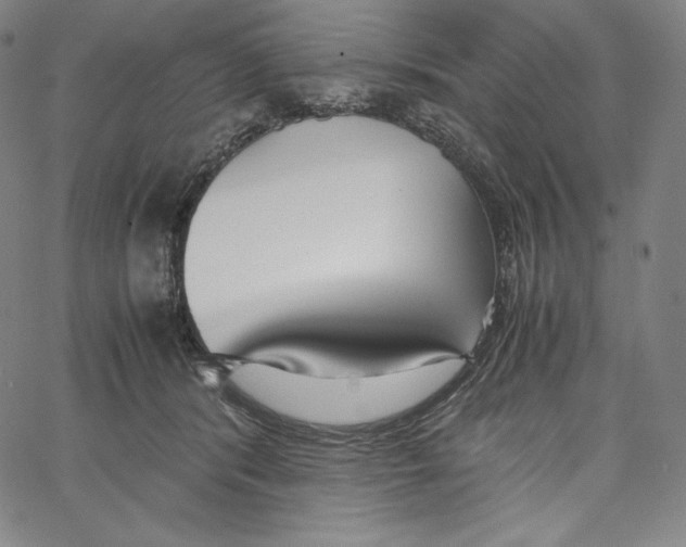 X0000062620416200601181659