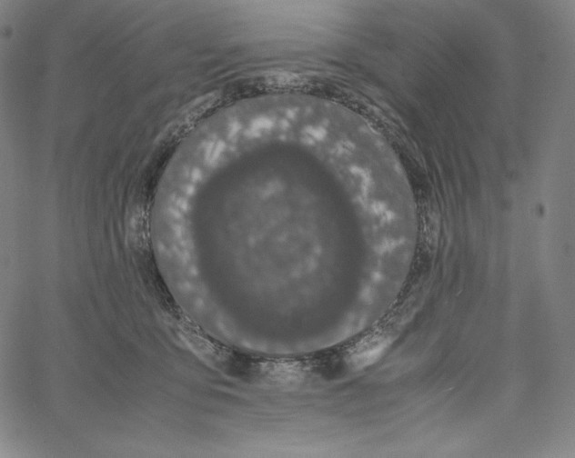 X0000062620419200601181659