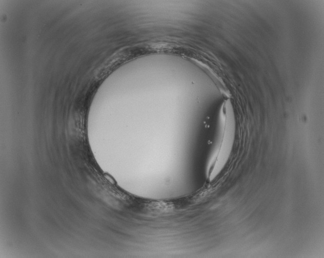 X0000062620421200601181659