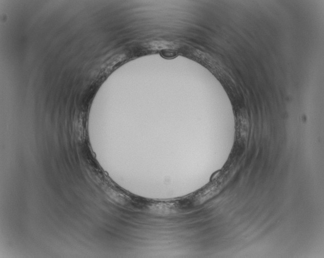 X0000062620422200601181659