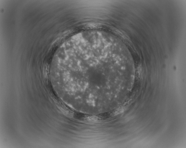 X0000062620423200601181659