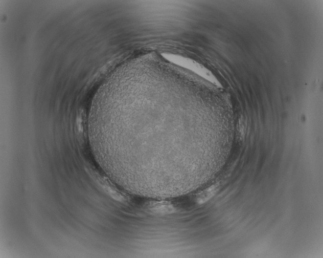 X0000062620424200601181659