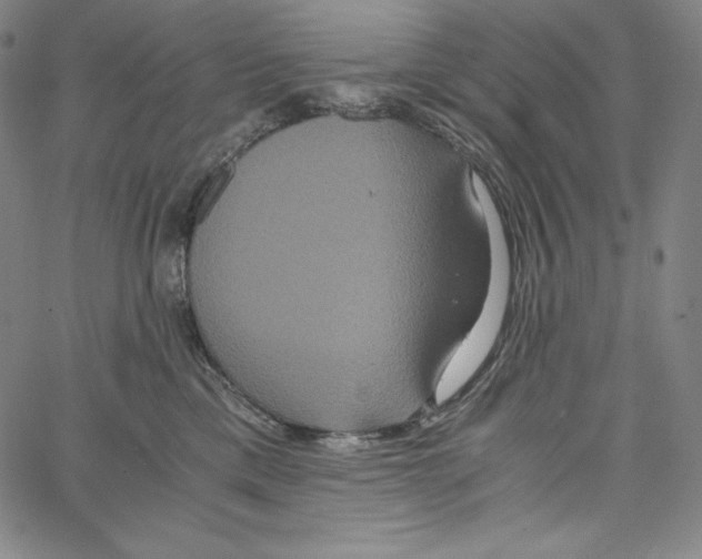 X0000062620425200601181659