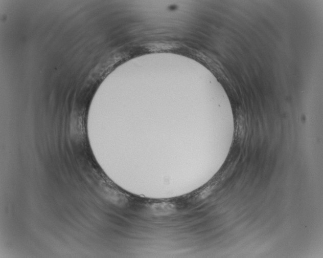 X0000062620426200601181659