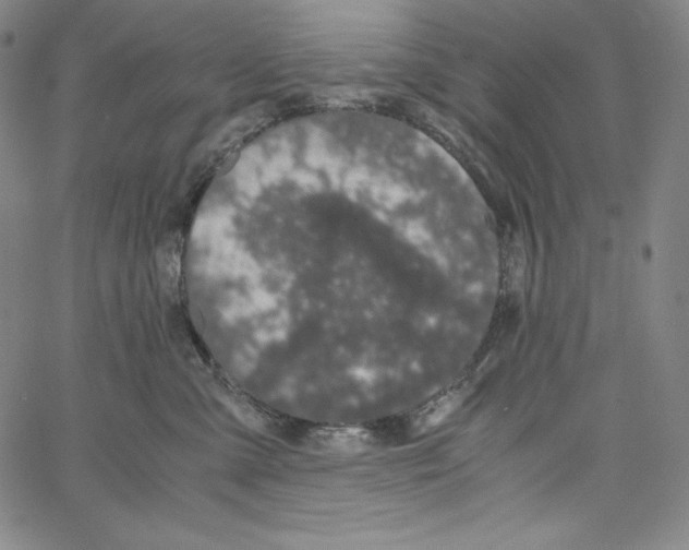 X0000062620427200601181659