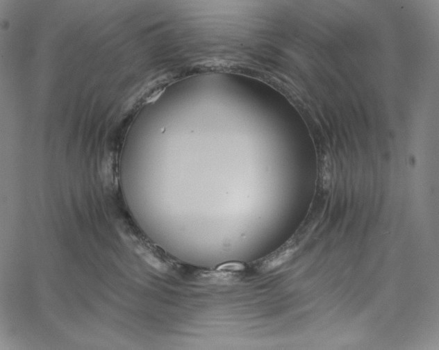 X0000062620428200601181659