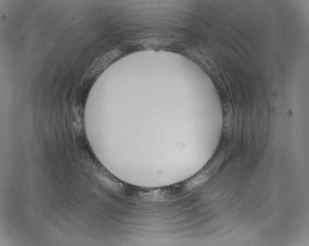 X0000062620430200601181659