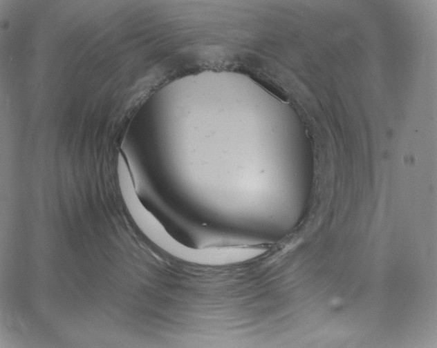 X0000062620432200601181659