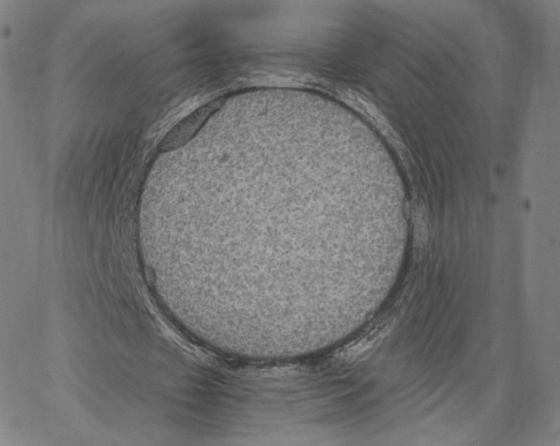 X0000062620433200601181658