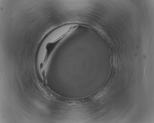 X0000062620434200601181658