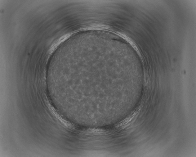 X0000062620437200601181658