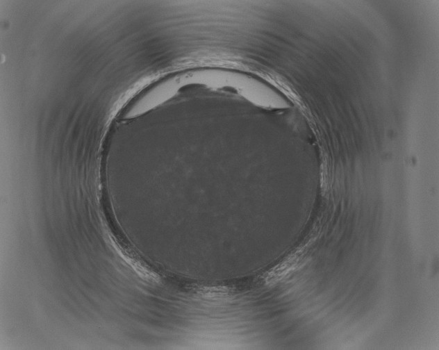 X0000062620438200601181658