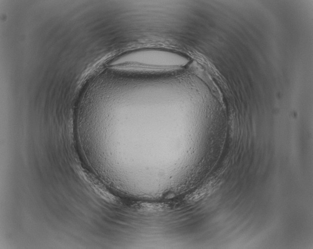 X0000062620442200601181658