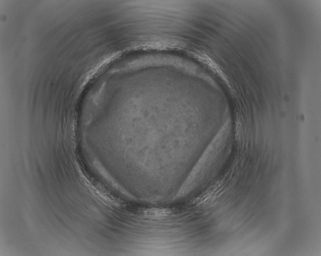 X0000062620444200601181658