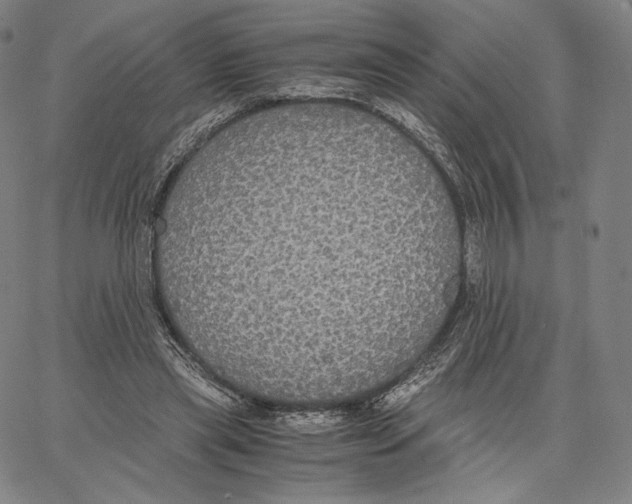 X0000062620445200601181658