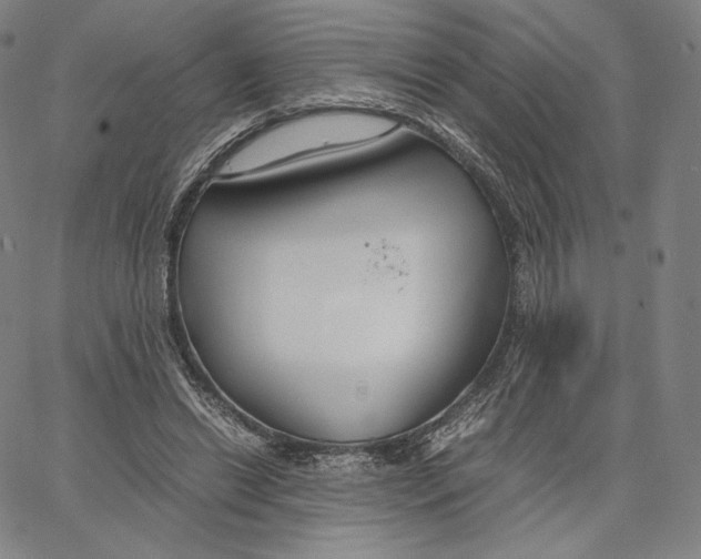 X0000062620446200601181658