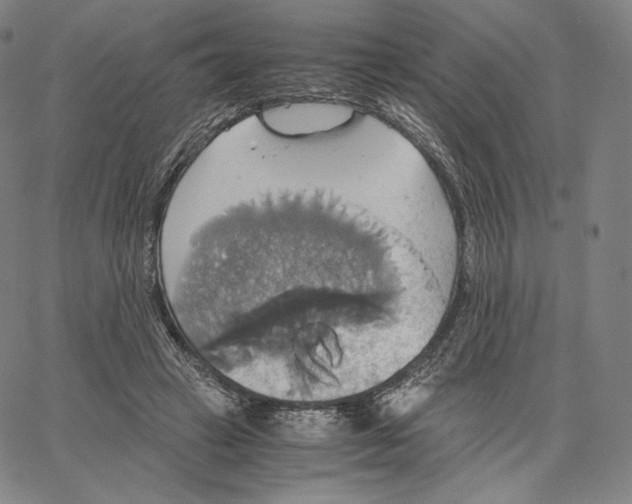 X0000062620449200601181659