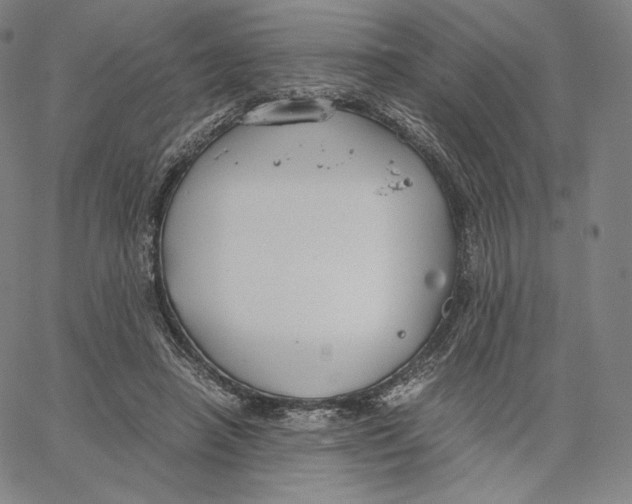 X0000062620450200601181659