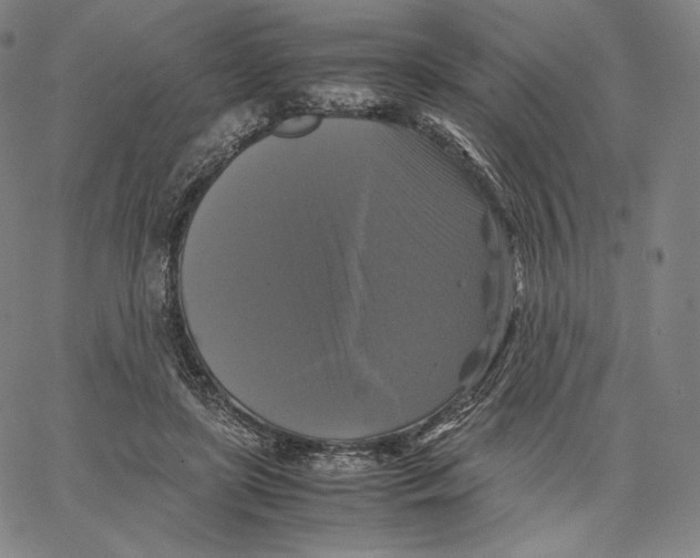 X0000062620451200601181659