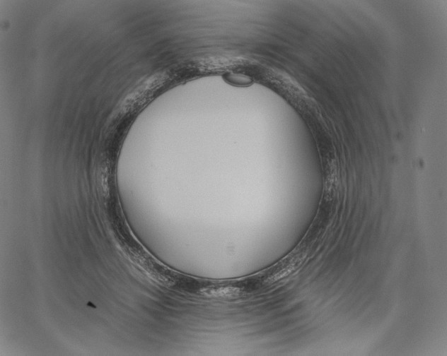 X0000062620452200601181659