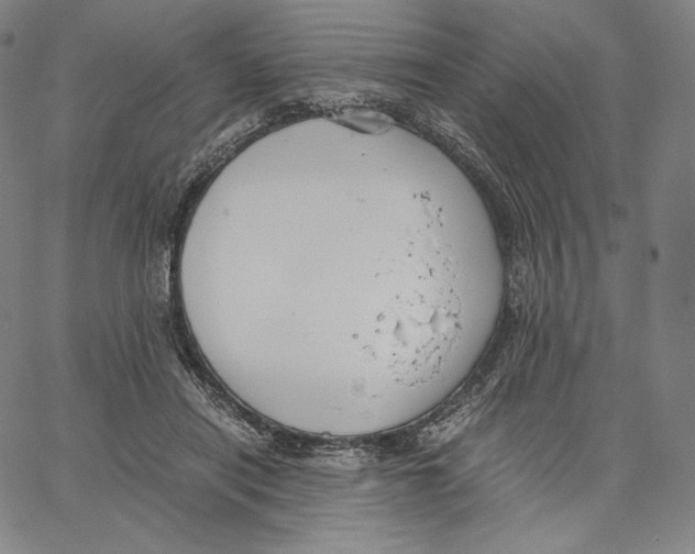 X0000062620454200601181659