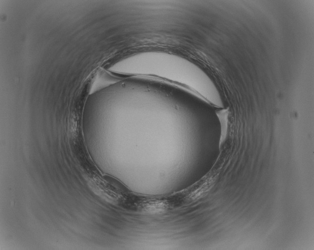 X0000062620456200601181659