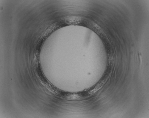 X0000062620460200601181659