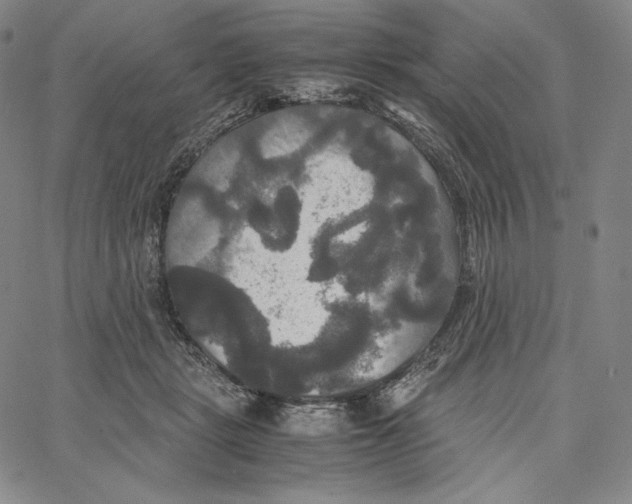 X0000062620461200601181659