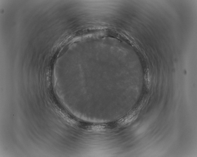 X0000062620462200601181659