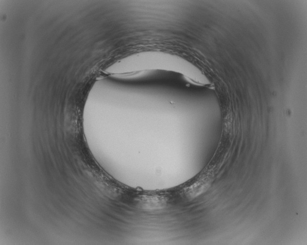 X0000062620464200601181659