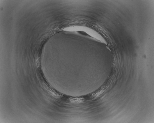 X0000062620465200601181659