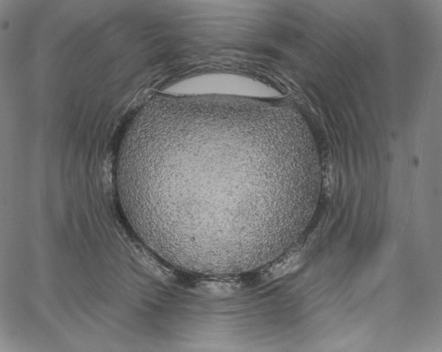 X0000062620466200601181659