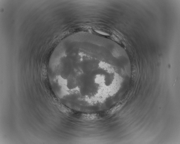 X0000062620469200601181659