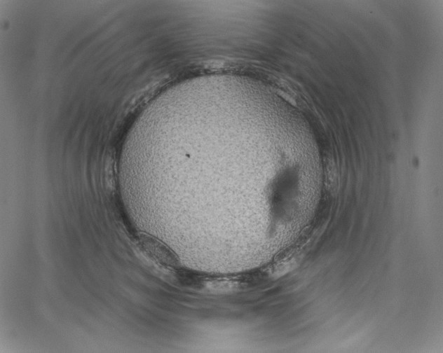 X0000062620470200601181659