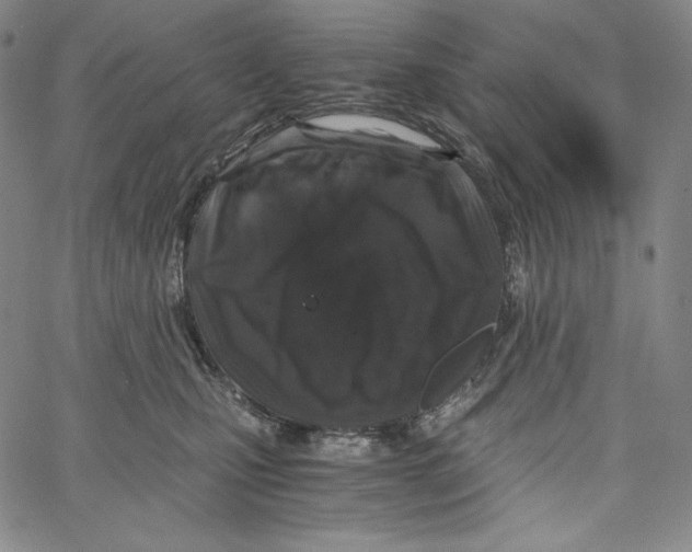 X0000062620471200601181659