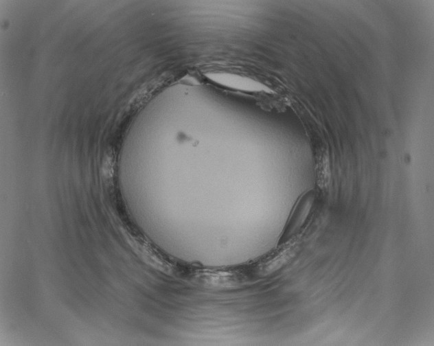 X0000062620472200601181659