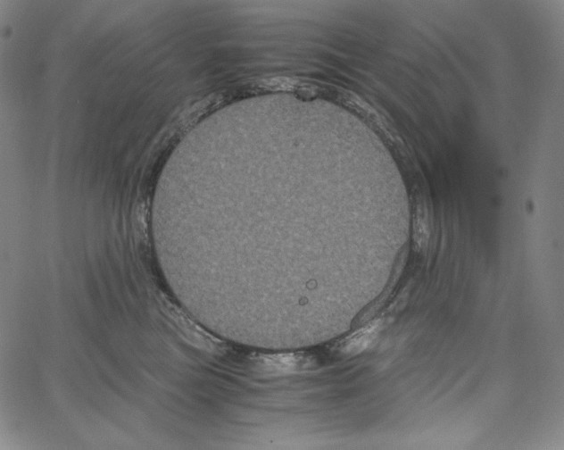 X0000062620473200601181659