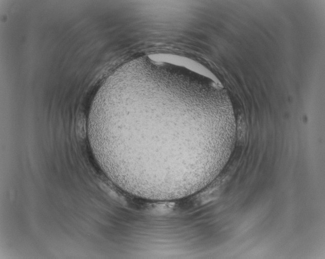 X0000062620474200601181659