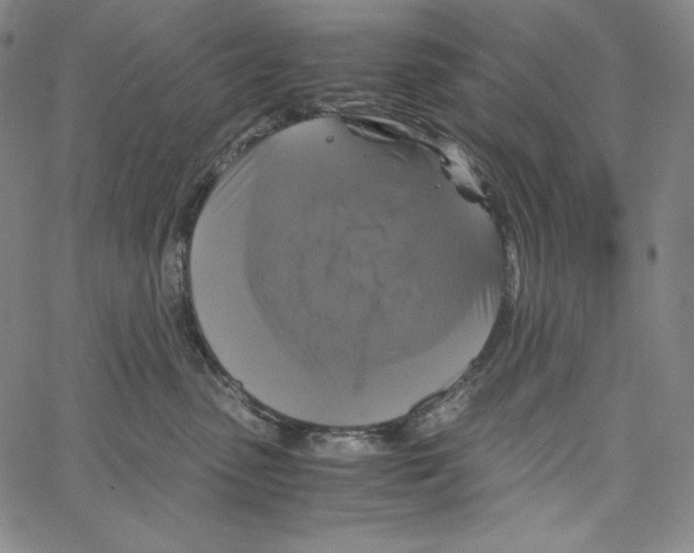 X0000062620475200601181659