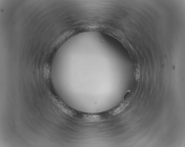 X0000062620476200601181659