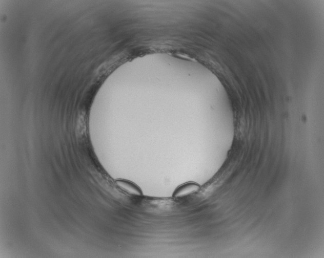 X0000062620478200601181659