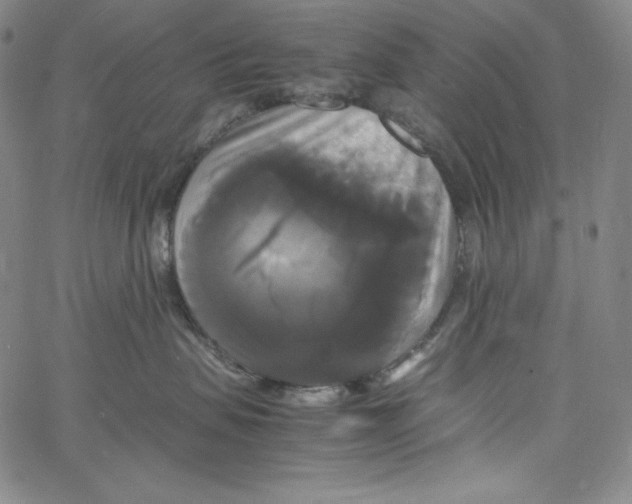 X0000062620479200601181659