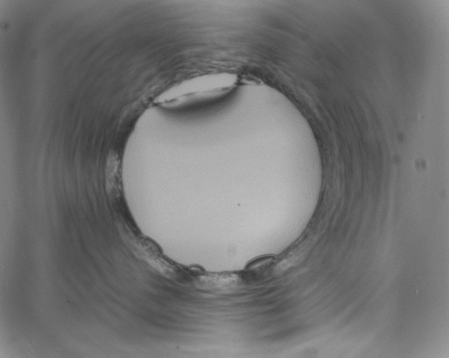 X0000062620480200601181659