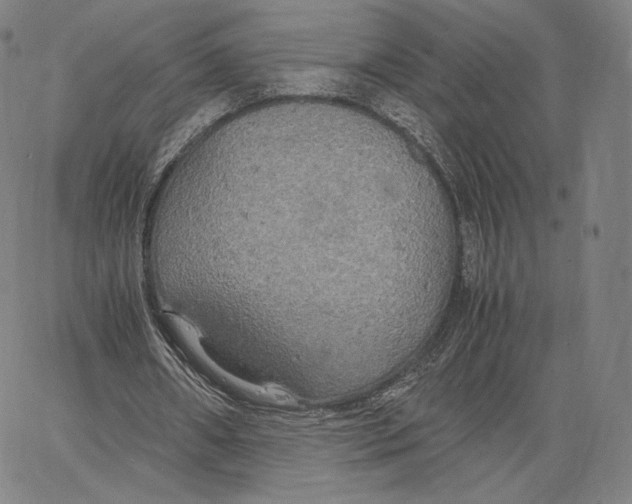 X0000062620482200601181658