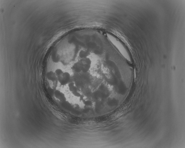 X0000062620483200601181658