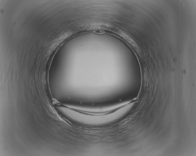 X0000062620485200601181658