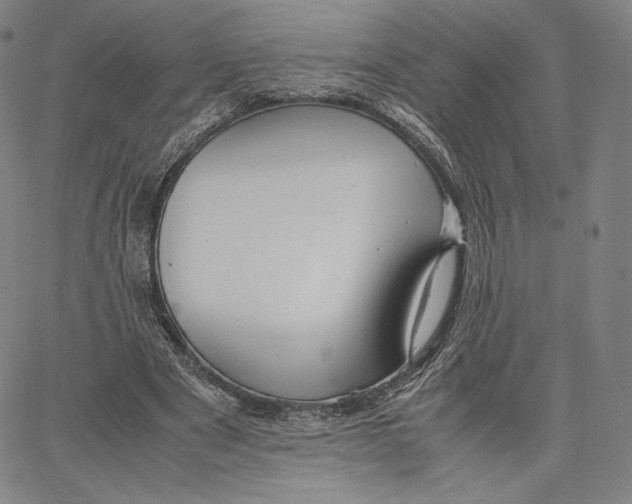 X0000062620489200601181658