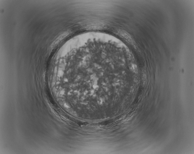 X0000062620491200601181658